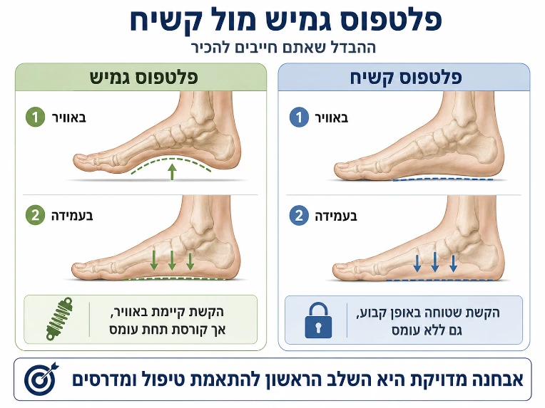 פלטפוס קשיח לעומת גמיש